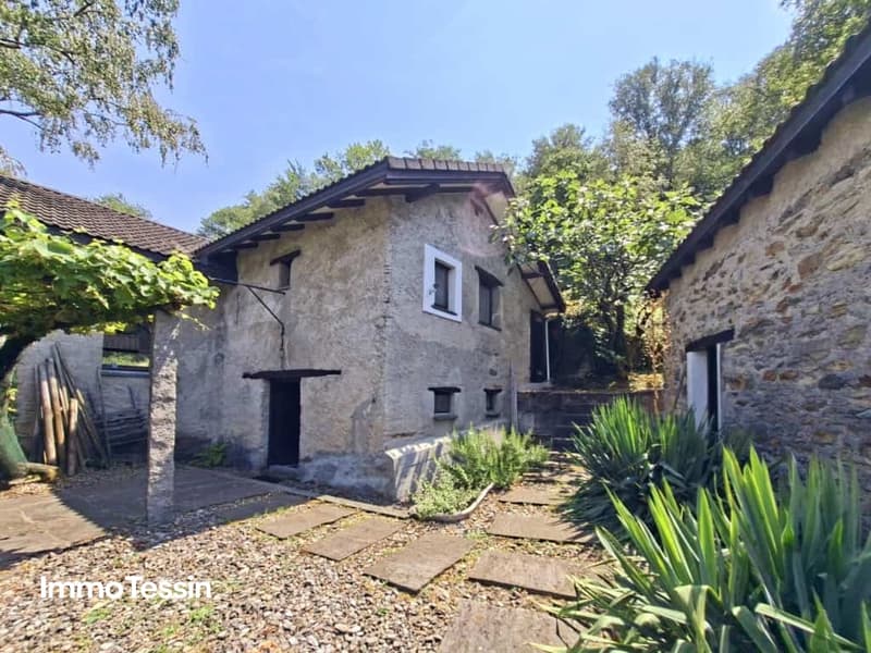 großzügige Liegenschaft mit zwei Rustici und separatem Atelier 17