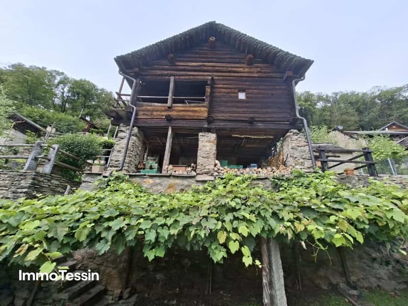 Original-Walserhaus mit viel Charme und Platz an sehr ruhiger und gut besonnter Bergsichtlage 1