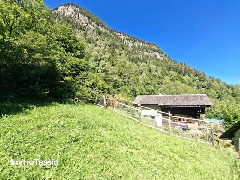 Ein wahres Alpenparadies authentisches Rustico unabhängiges Atelier und vier Parzellen voller Freiheit 2