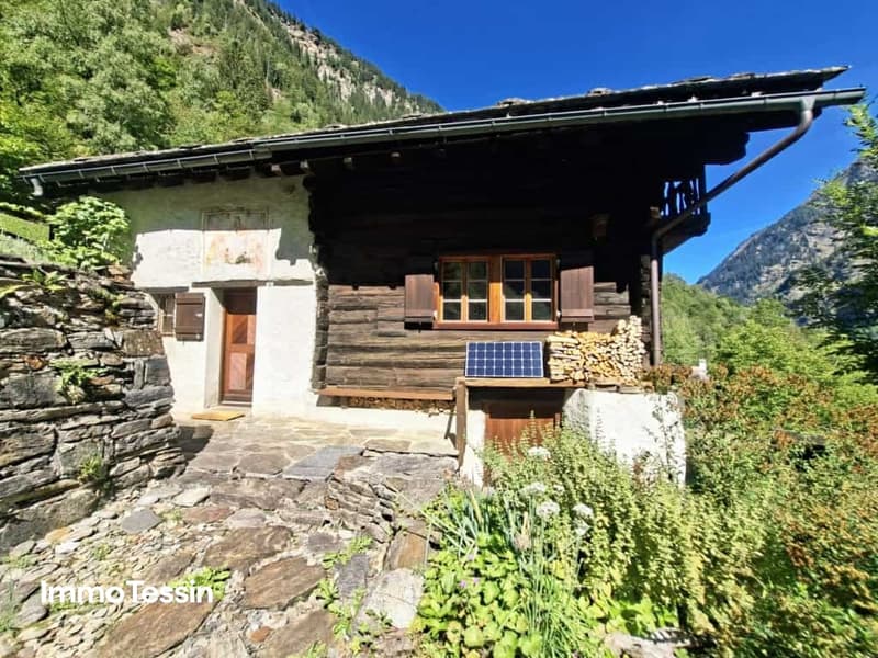 Ein wahres Alpenparadies authentisches Rustico unabhängiges Atelier und vier Parzellen voller Freiheit 3