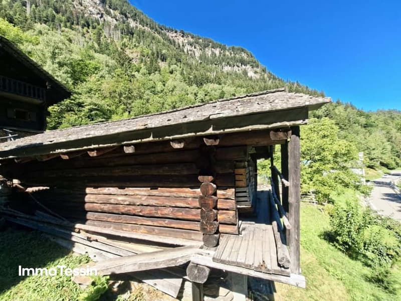 Ein wahres Alpenparadies authentisches Rustico unabhängiges Atelier und vier Parzellen voller Freiheit 6