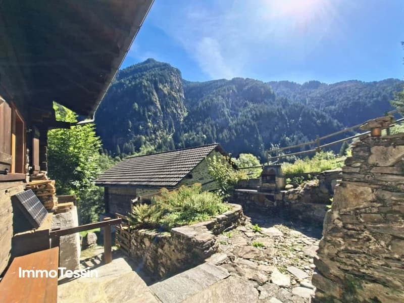 Ein wahres Alpenparadies authentisches Rustico unabhängiges Atelier und vier Parzellen voller Freiheit 4