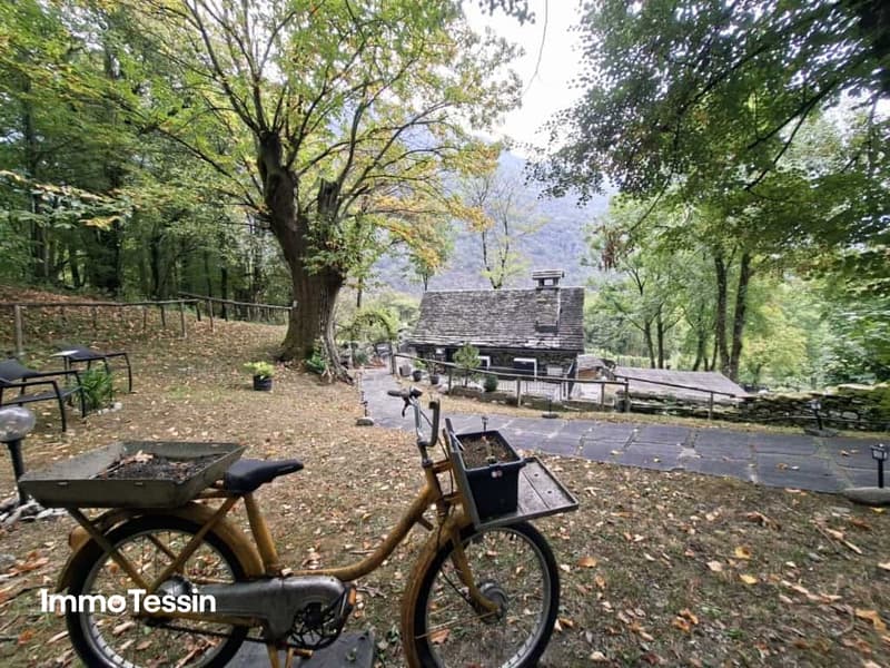 Dolce Vita im Grünen Rustico mit viel Land Privatsphäre Topolino 2