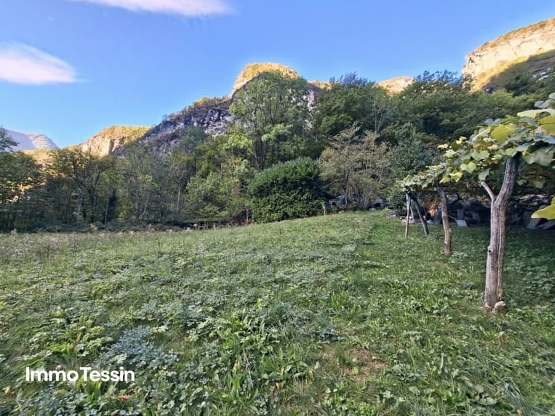 komplett renoviertes Rustico mit charaktervollem Grottino und Landwirtschaftsland im herrlichen Maggiatal               1