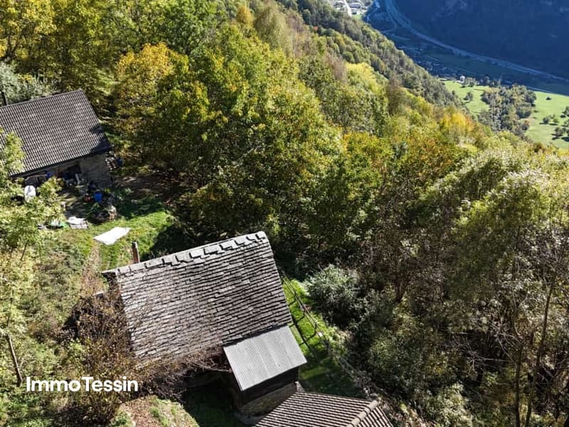 Ihr Rückzugsort im Grünen saniertes Rustico mit atemberaubender Aussicht in mitten der Natur von Campello Calpiogna 3