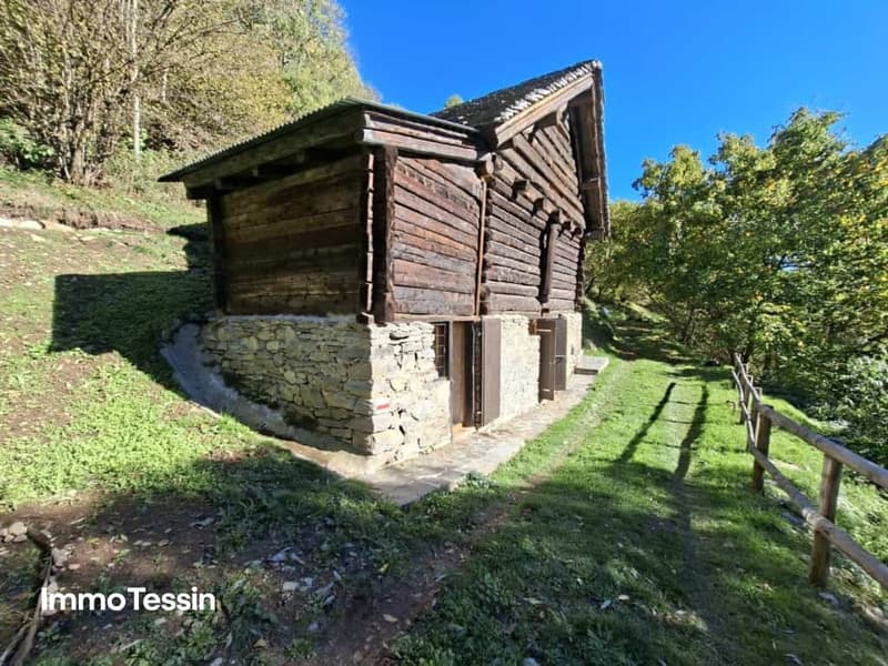 Ihr Rückzugsort im Grünen saniertes Rustico mit atemberaubender Aussicht in mitten der Natur von Campello Calpiogna 4