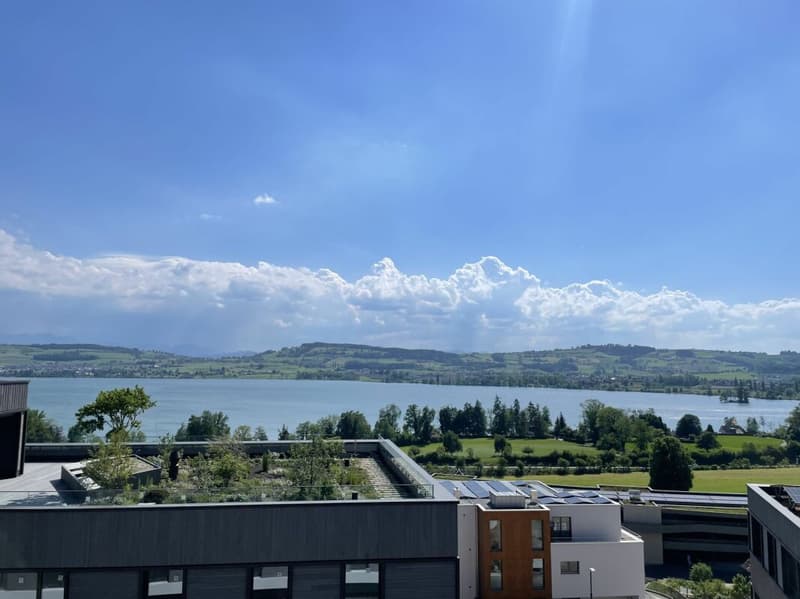 Ready-to-move-in new attic apartment with lake and mountain views (1)