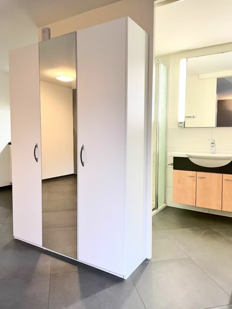 Elegantly furnished apartment including parking space (5)