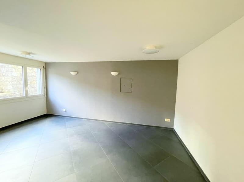 Elegantly furnished apartment including parking space (3)
