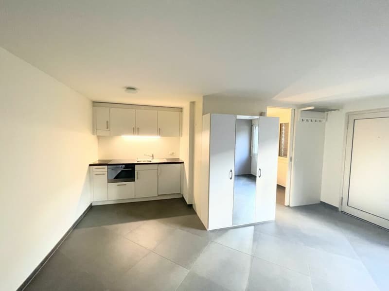 Elegantly furnished apartment including parking space (2)