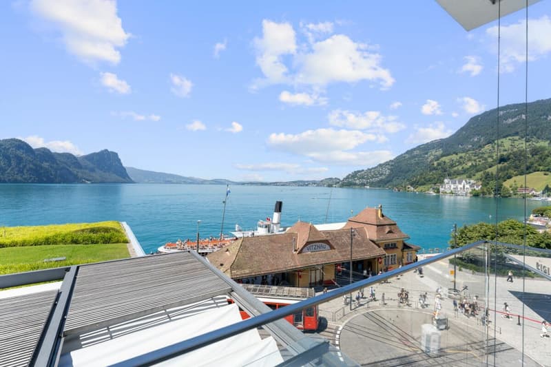 Appartement 3.5 pièces avec vue unique sur le lac (2)