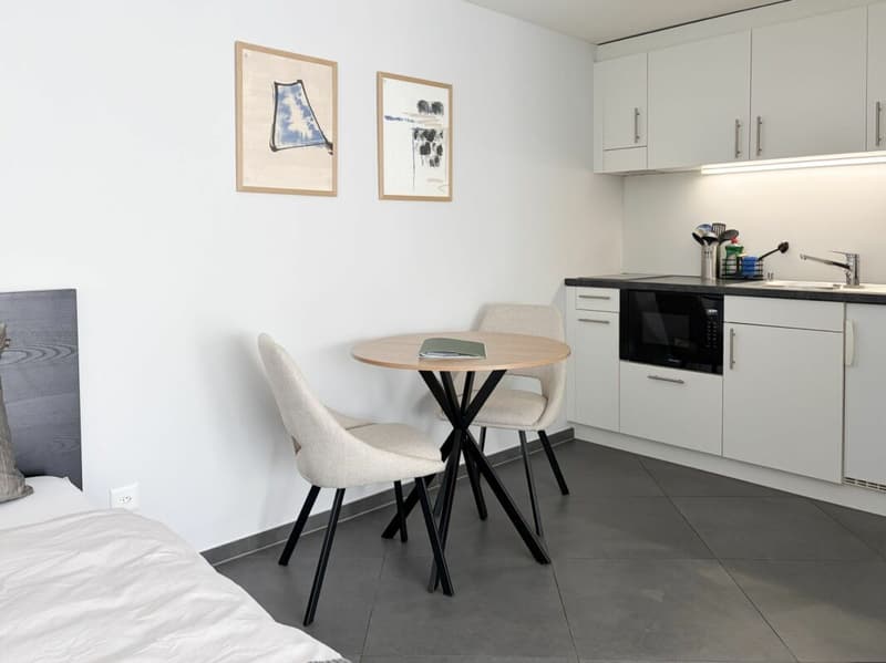 Stilvoll möbliertes Apartment inkl. Parkplatz (5)