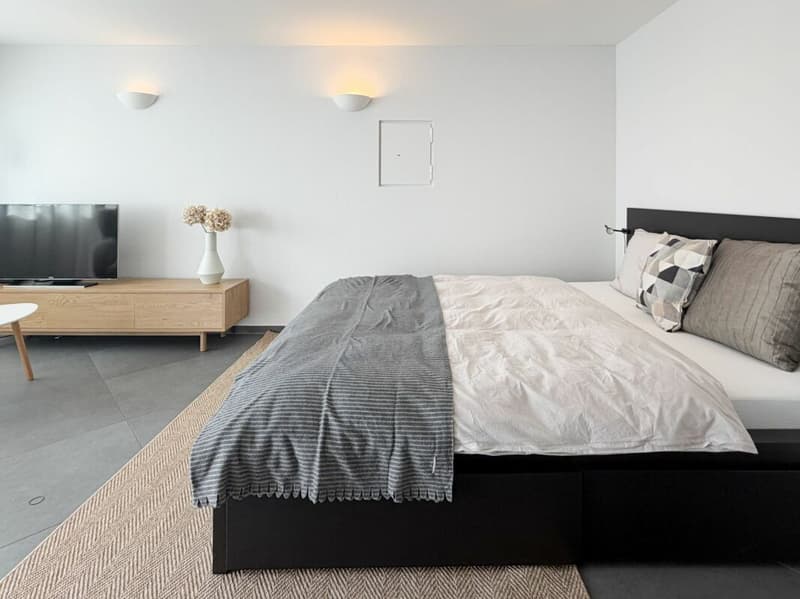 Stilvoll möbliertes Apartment inkl. Parkplatz (3)