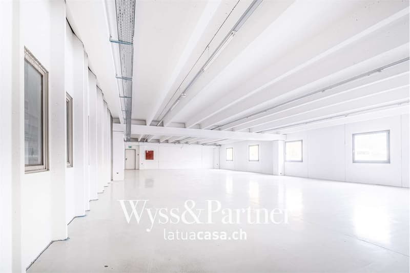 Bioggio, grand espace commercial modulable (7)
