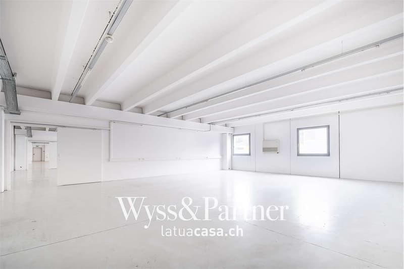 Bioggio, grand espace commercial modulable (6)