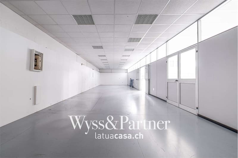 Bioggio, grand espace commercial modulable (5)