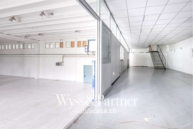 Bioggio, grand espace commercial modulable (9)