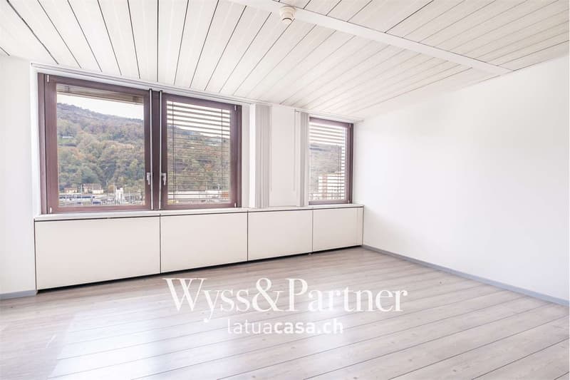 Chiasso - spacious and bright commercial space (5)