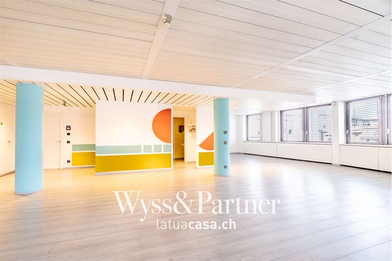 Chiasso - spacious and bright commercial space (2)