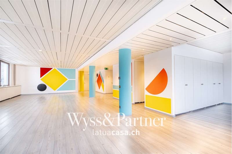 Chiasso - spacious and bright commercial space (4)