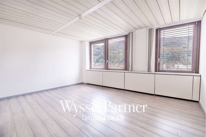Chiasso - spacious and bright commercial space (6)