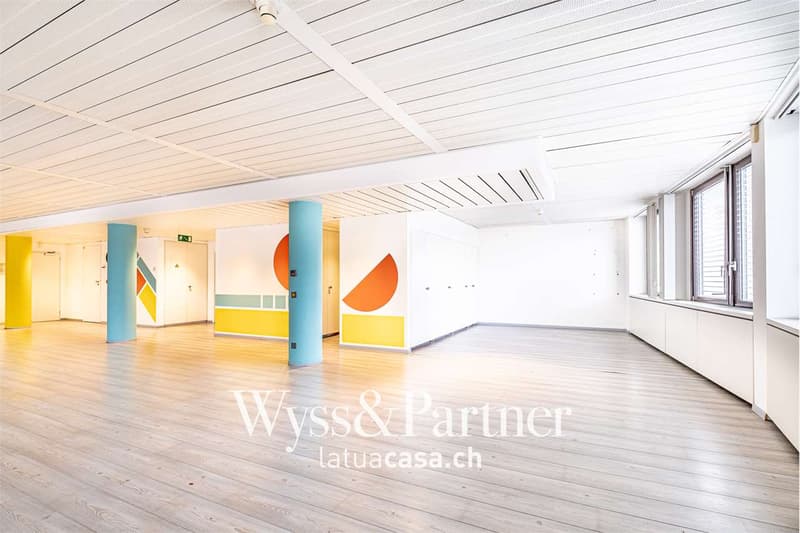 Chiasso - spacious and bright commercial space (3)