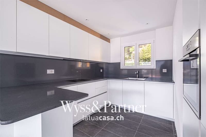 Beautiful newly built house (2)