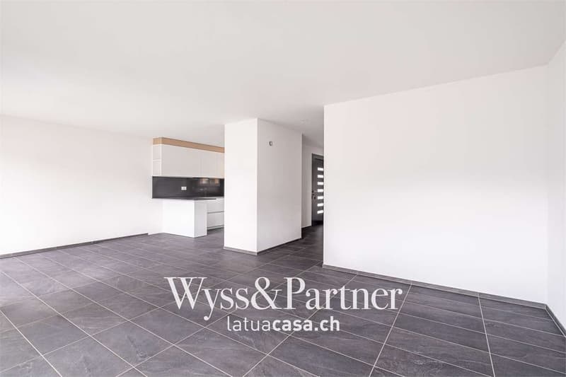 Beautiful newly built house (3)