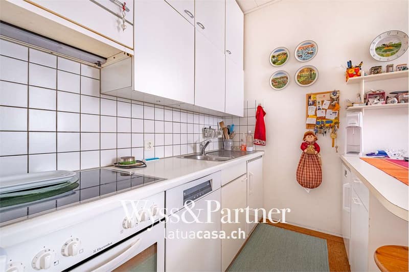 Bellinzona, spacious 4.5 rooms (6)