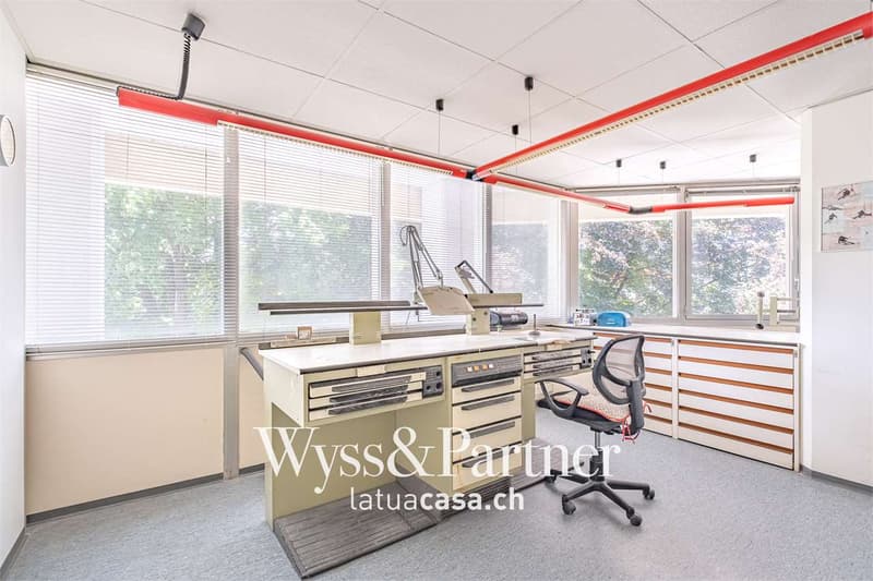 Locarno - bureau pratique et spacieux (6)