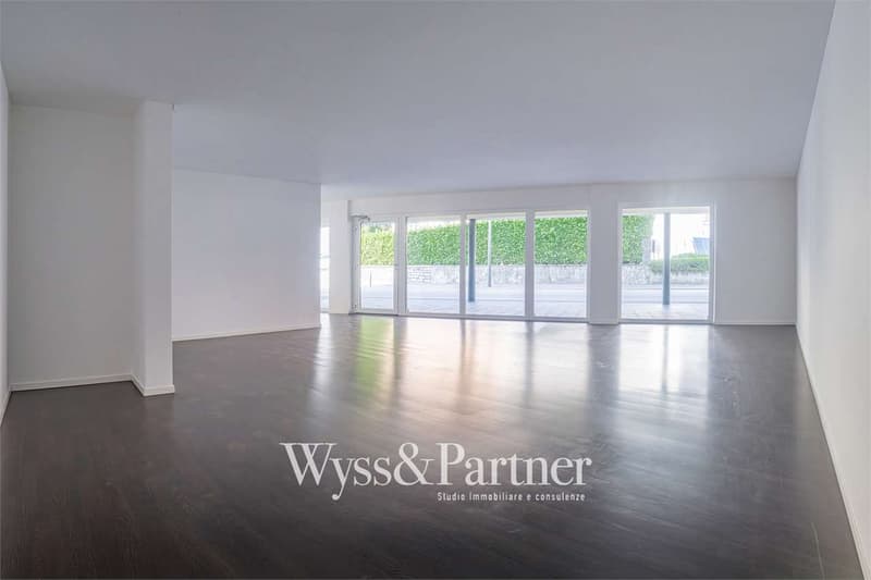 Tenero - practical commercial space in the center (4)