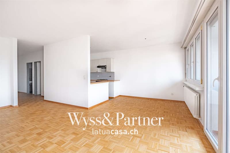 Chiasso - spacious 3.5 rooms for rent (3)