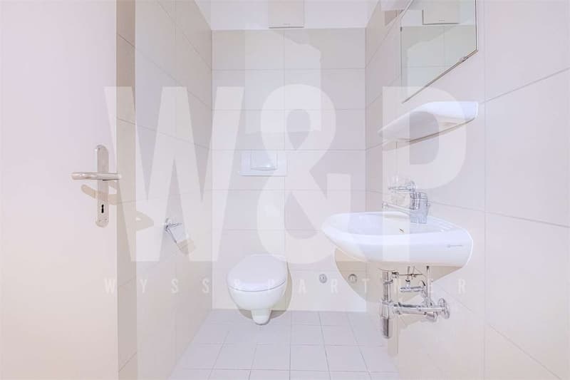 3 MONTHS FREE - Pazzallo Spacious and bright 3.5-room apartment (7)