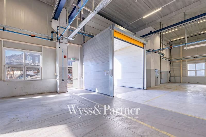 Agno - spacious commercial space (7)