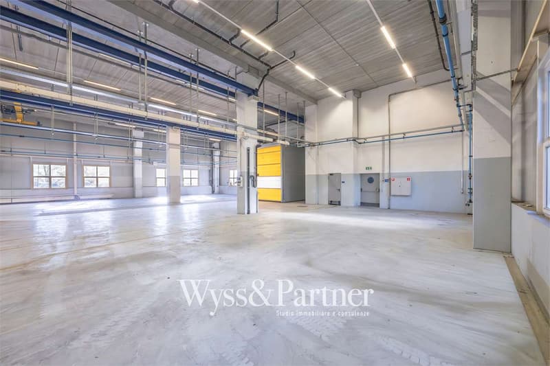 Agno - spacious commercial space (3)