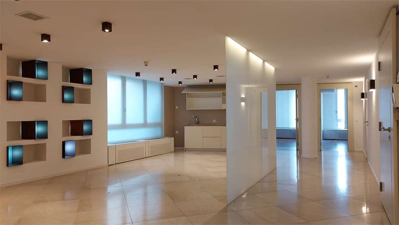 Bureau prestigieux à louer à Lugano (3)