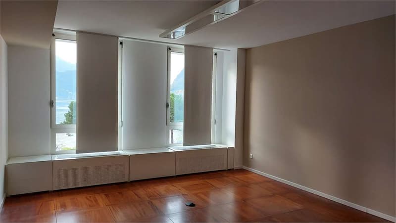 Bureau prestigieux à louer à Lugano (13)