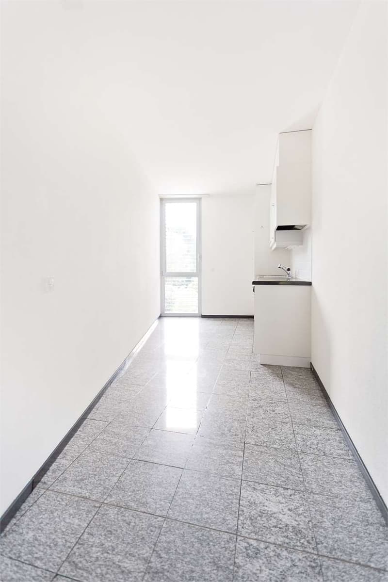 Camorino - Bright 2.5-room apartment (4)