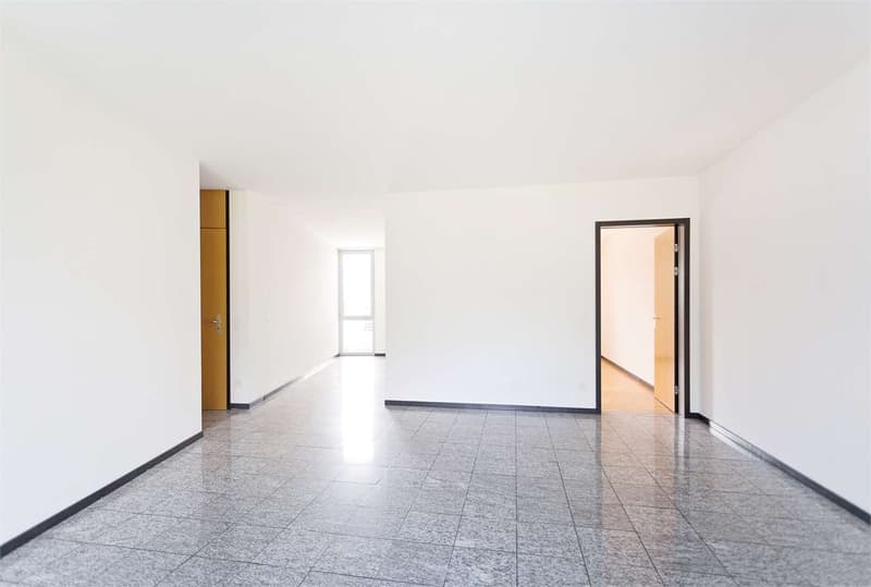 Camorino - Bright 2.5-room apartment (2)