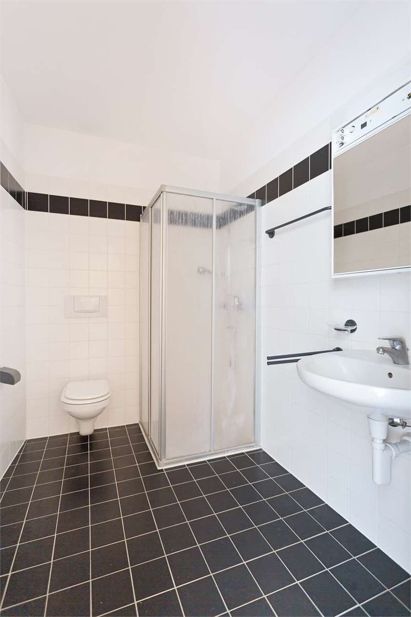 Camorino - Bright 2.5-room apartment (8)