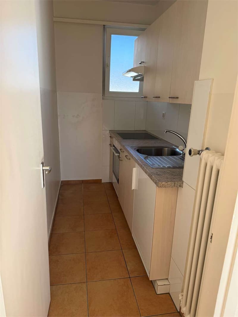 Appartement pratique de 1,5 pièces avec balcon et vue sur le lac - Minusio (4)