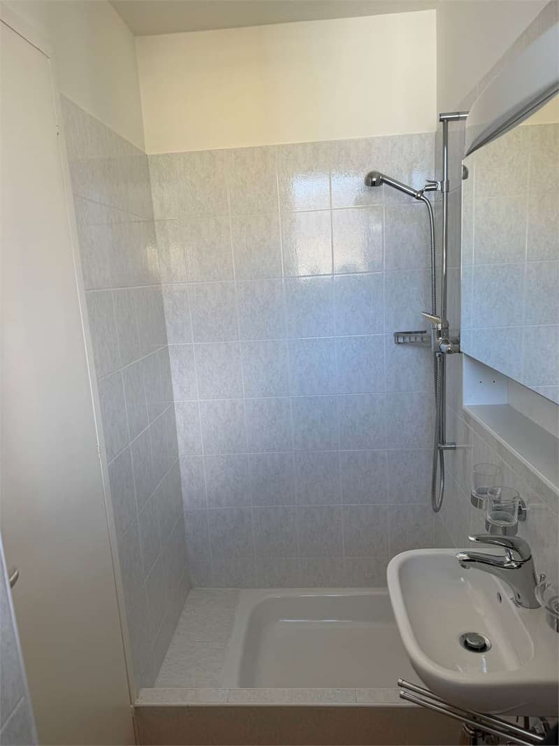 Appartement pratique de 1,5 pièces avec balcon et vue sur le lac - Minusio (5)