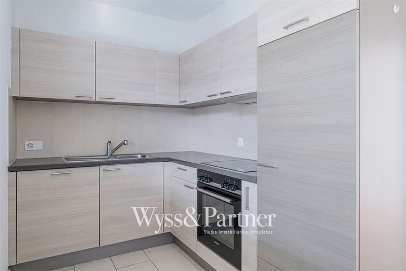 Appartement lumineux 3.5 à Caslano (4)