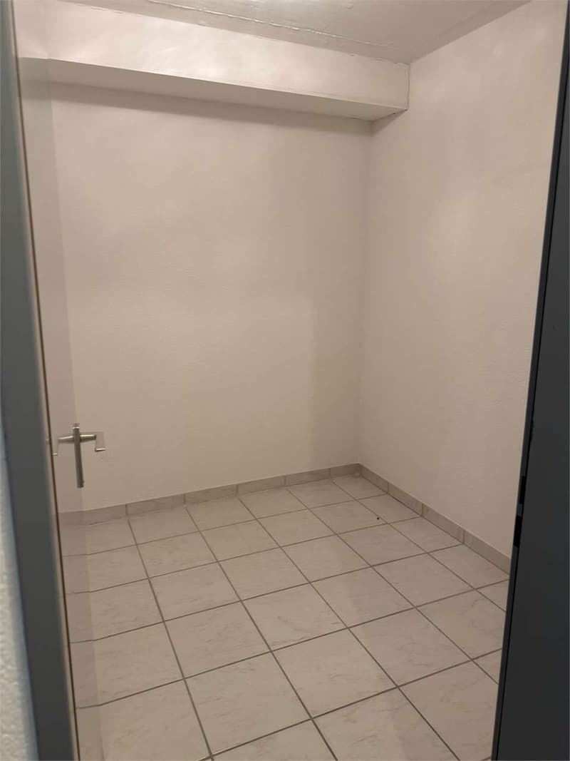 2.5 Room Duplex Apartment in the Heart of Bellinzona (6)