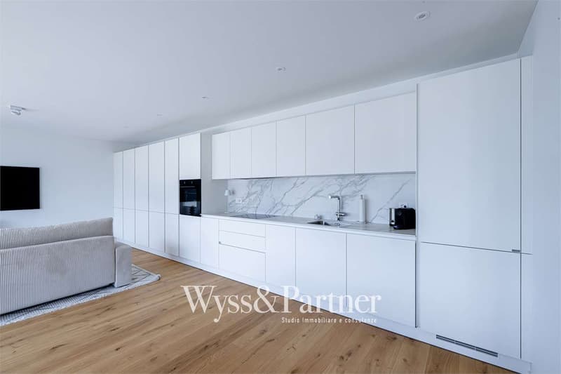 Minusio - prächtiges 2.5-Zimmer-Wohnung möbliert (6)