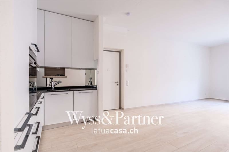 Moderno appartamento di 3.5 locali - Moderne 3,5-Z (1)