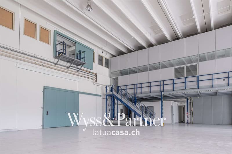 Bioggio, grande spazio commerciale modulabile (3)