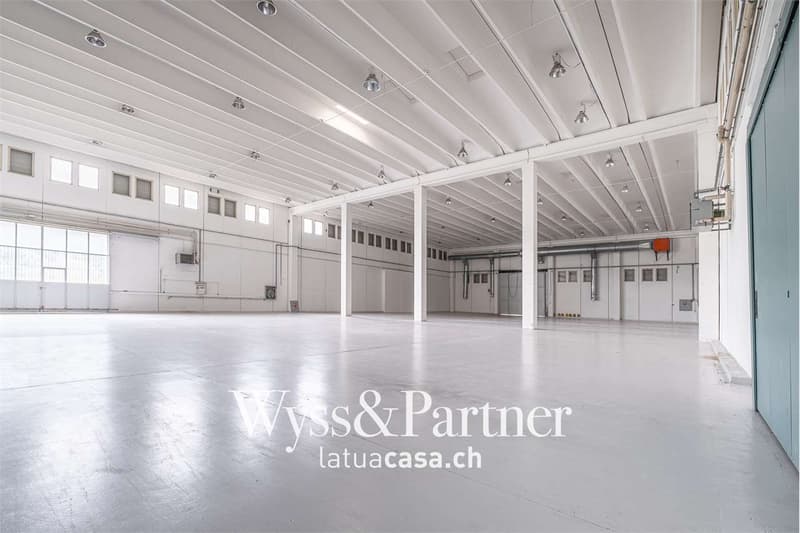 Bioggio, grande spazio commerciale modulabile (1)