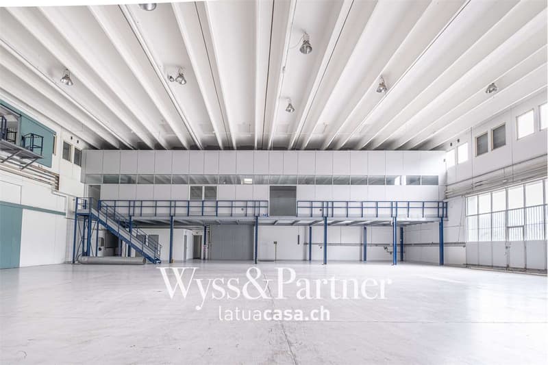 Bioggio, grande spazio commerciale modulabile (2)