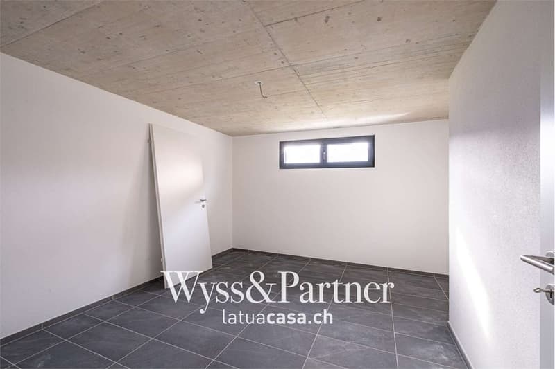 Beautiful newly built house (10)